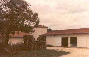 cuvier annes 80