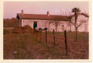 maison de près