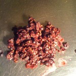 Les peaux en milieu de fermentation