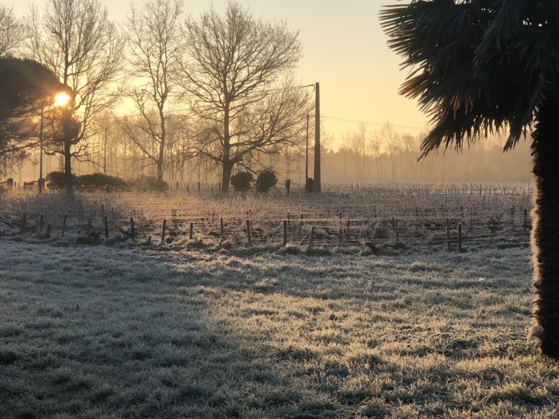 Demain dès l’aube, à l’heure où blanchit la campagne Château Hourbanon Médoc